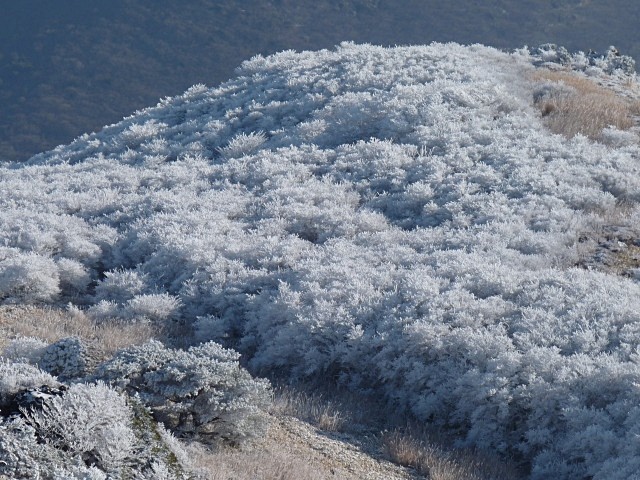 b0025101_0533031.jpg
