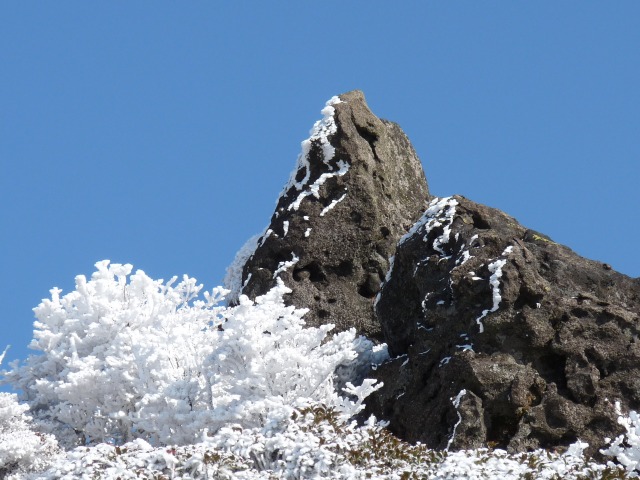 b0025101_053883.jpg