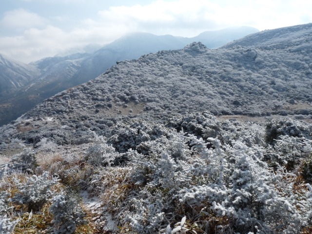 b0025101_0562830.jpg