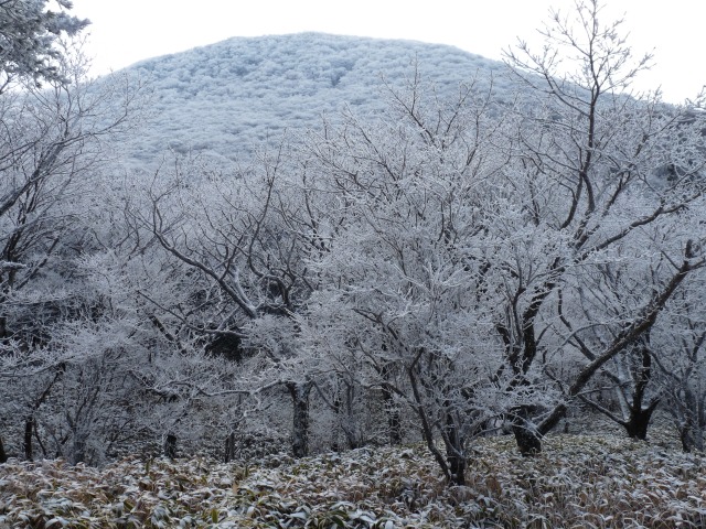b0025101_0585886.jpg