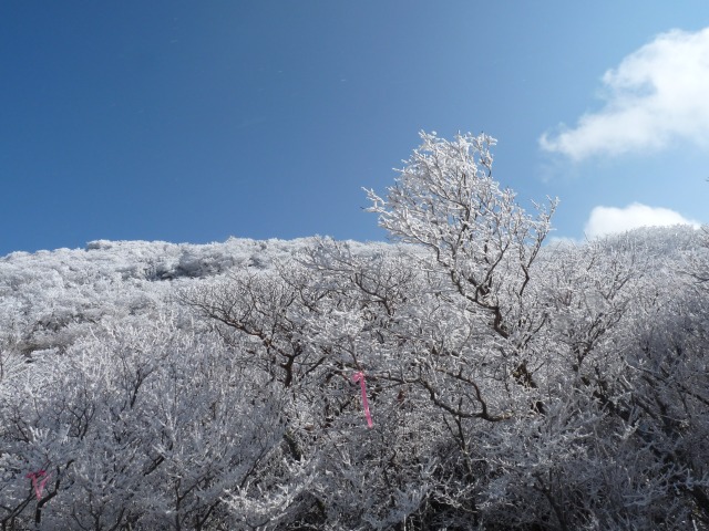 b0025101_0593679.jpg