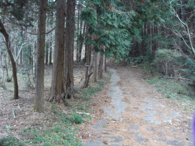 e0015108_22114487.jpg