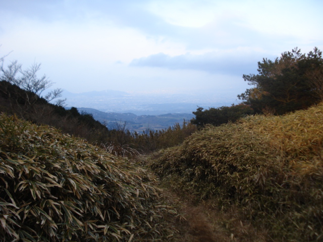 e0015108_2212250.jpg