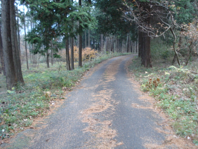 e0015108_2213198.jpg