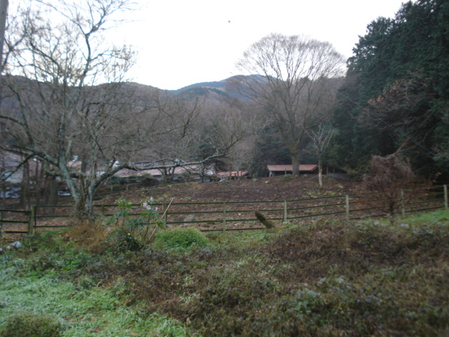 e0015108_2213312.jpg