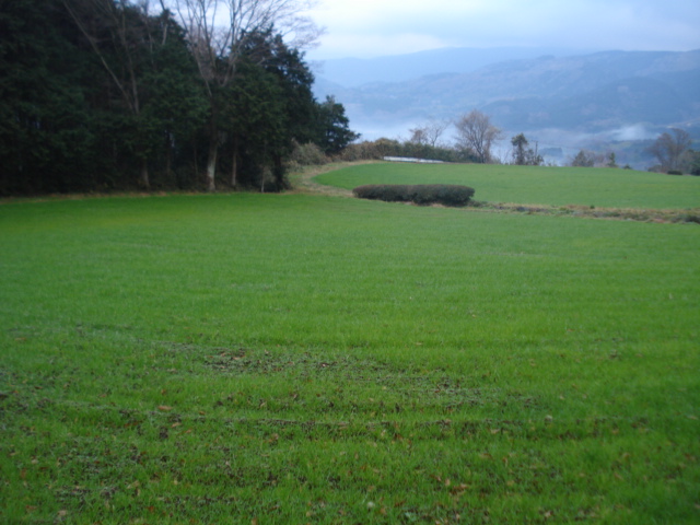 e0015108_22134381.jpg