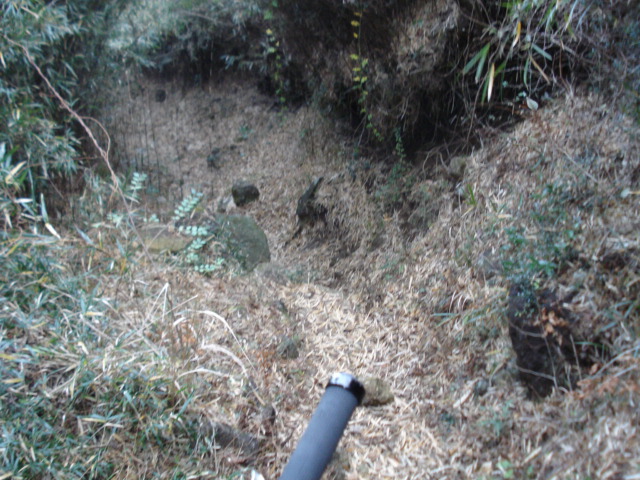 e0015108_2223015.jpg