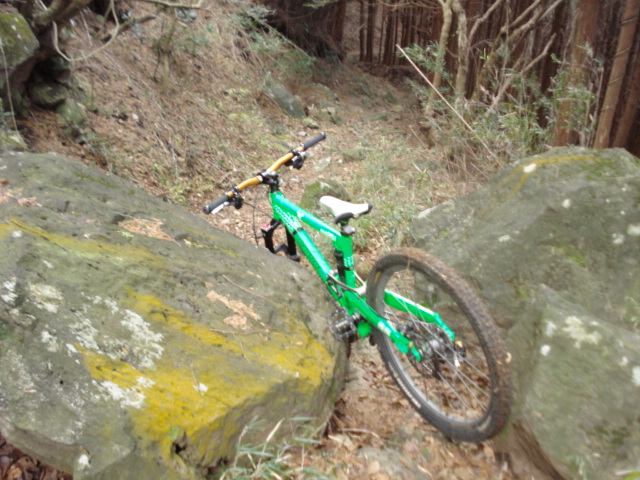 e0015108_2263378.jpg