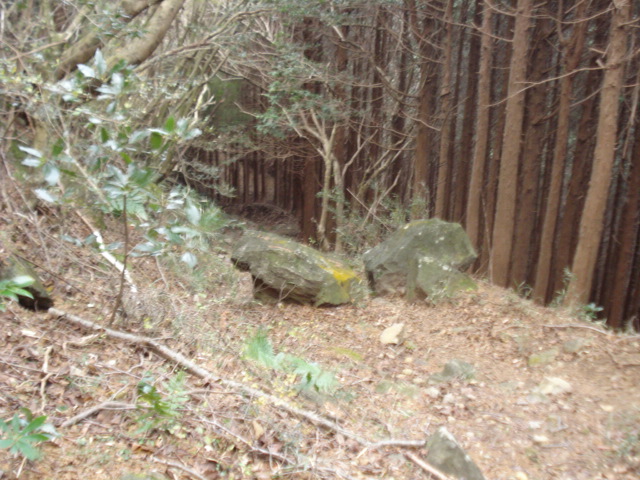 e0015108_226448.jpg