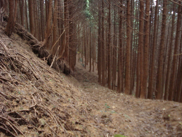 e0015108_2272829.jpg