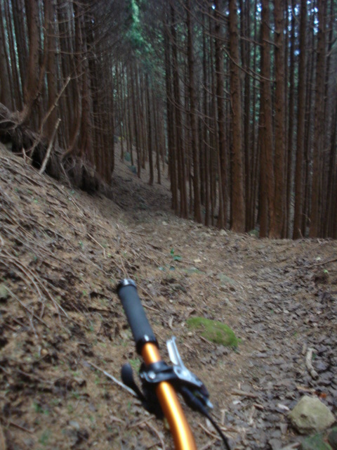 e0015108_228384.jpg