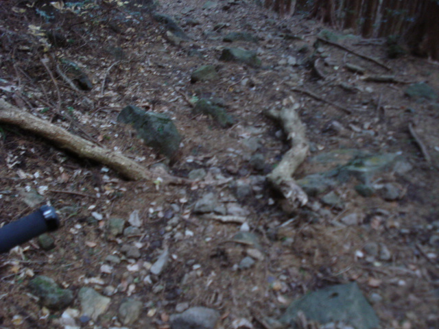 e0015108_22976.jpg