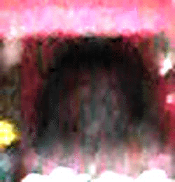 e0103408_10361480.gif