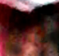 e0103408_10453364.gif