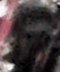 e0103408_10454938.gif