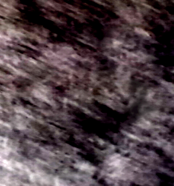 e0103408_1513914.gif