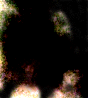e0103408_157336.gif