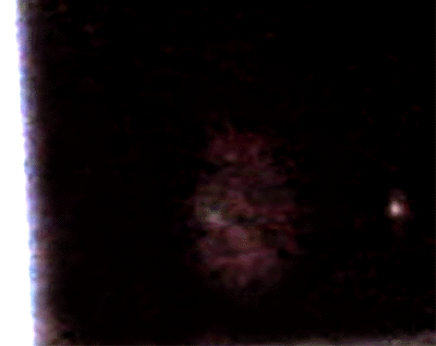 e0103408_19224175.gif