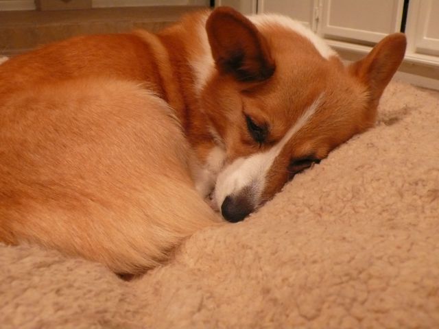 f0227709_052882.jpg