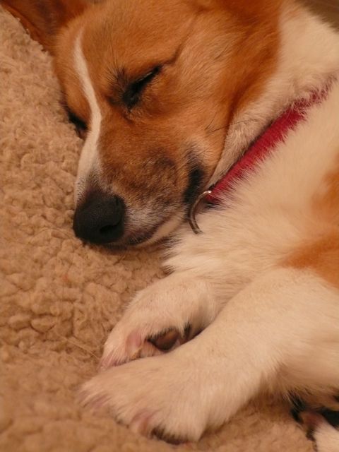 f0227709_0571545.jpg