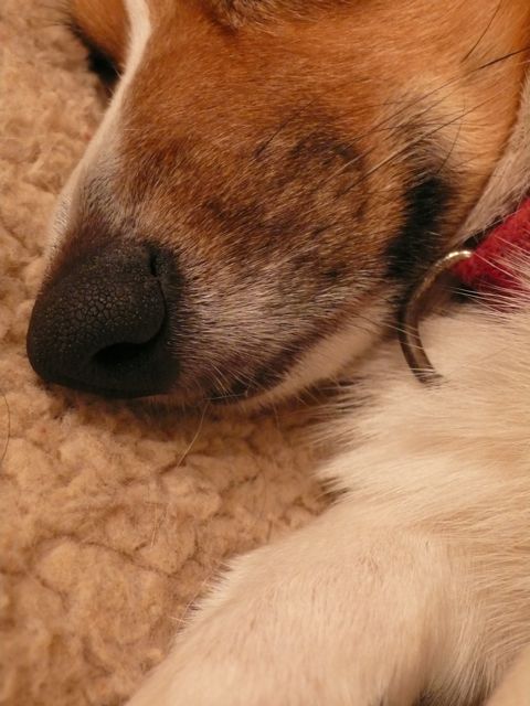 f0227709_0581625.jpg