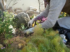 c0190010_18361769.jpg