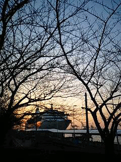 d0048332_22402735.gif