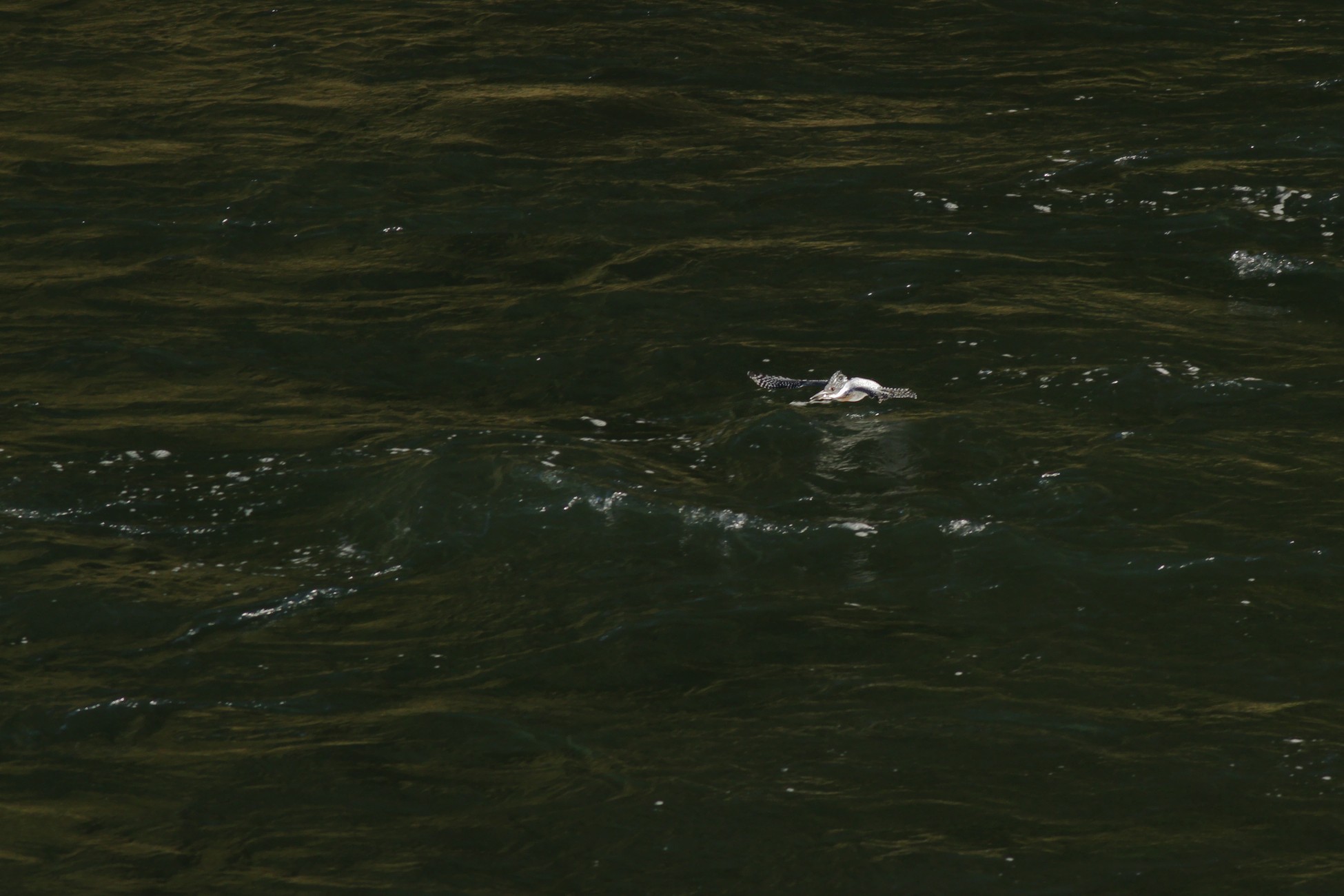 e0154134_1661775.jpg