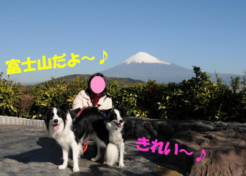 c0147241_045515.jpg