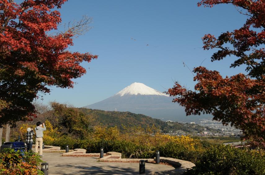 c0147241_052374.jpg