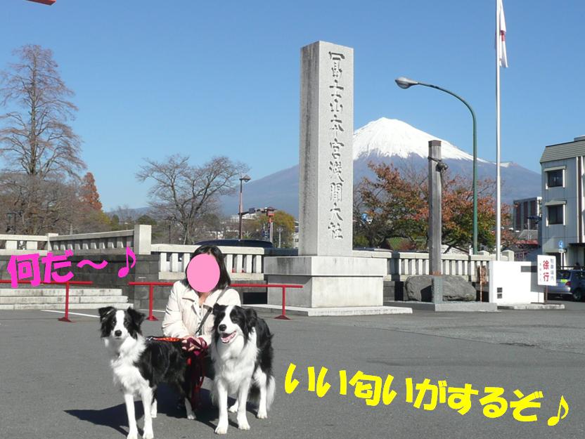 c0147241_053977.jpg