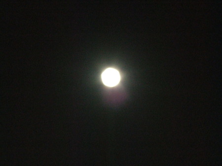 a0161744_21322613.jpg