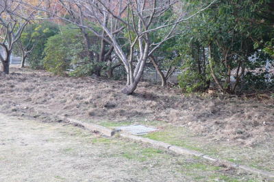 d0013645_21563230.jpg