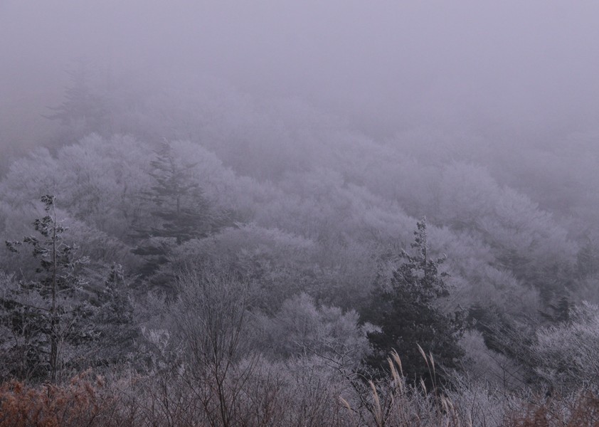 f0207754_21406100.jpg