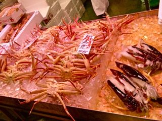 f0000655_283678.jpg