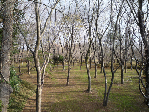 b0045357_9234867.jpg