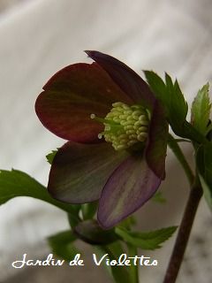 e0118257_16515160.jpg