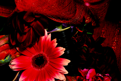 d0116066_1658163.jpg