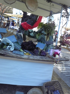 f0101871_1546946.jpg