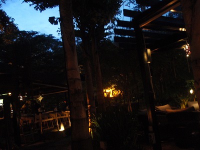 b0086476_231833.jpg