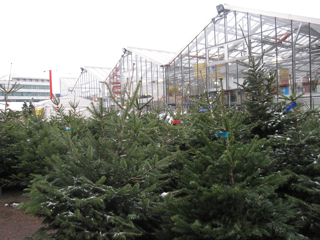 f0225877_7235677.jpg