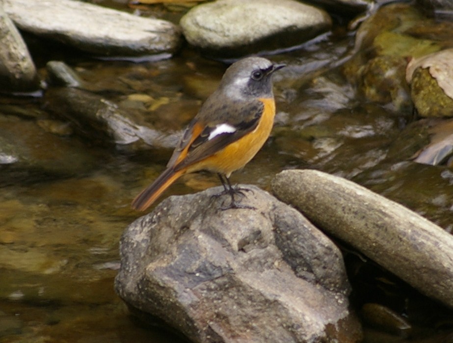 e0197884_18505963.jpg