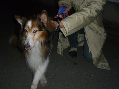 c0123890_2131277.jpg