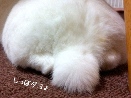 f0201191_2336066.jpg