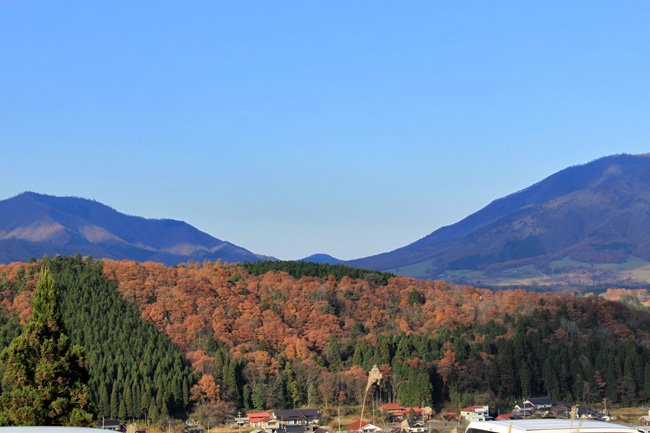 c0153292_1227489.jpg