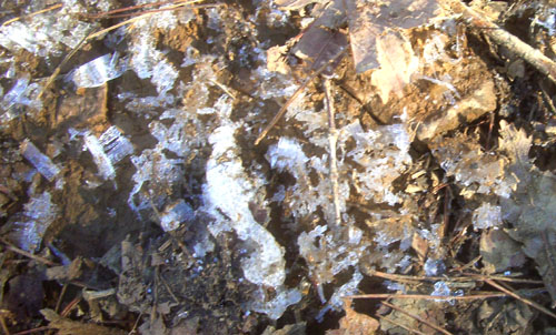 b0099994_11103931.jpg
