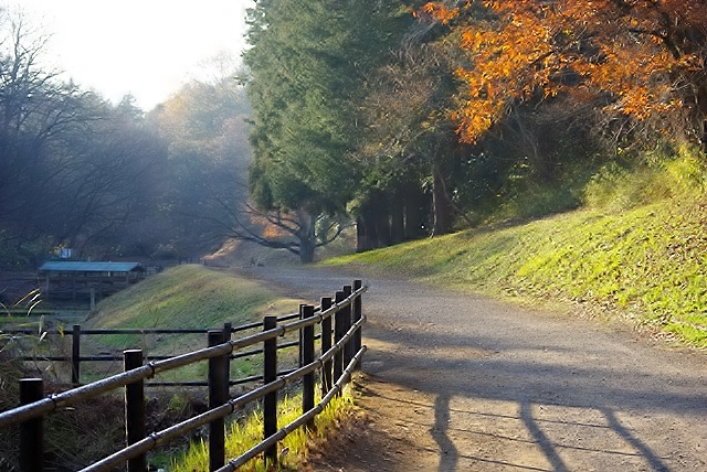 c0125596_2222071.jpg