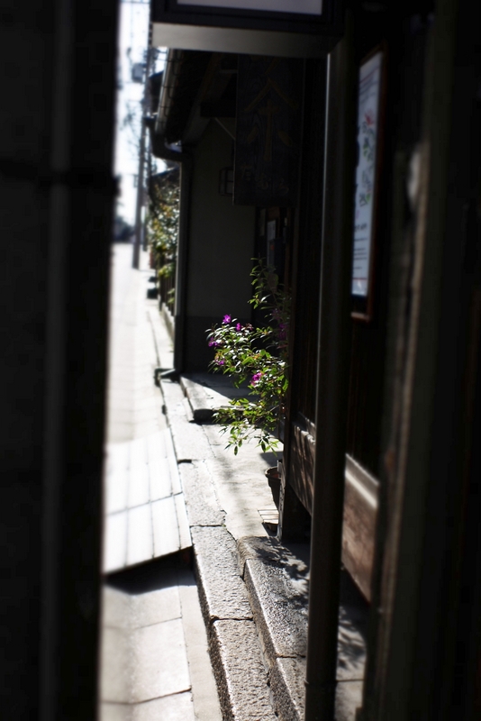 b0138101_21412744.jpg