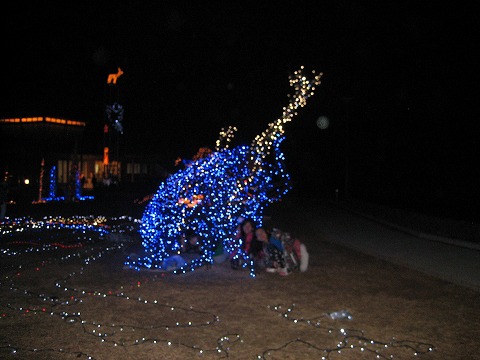 c0196701_1059206.jpg
