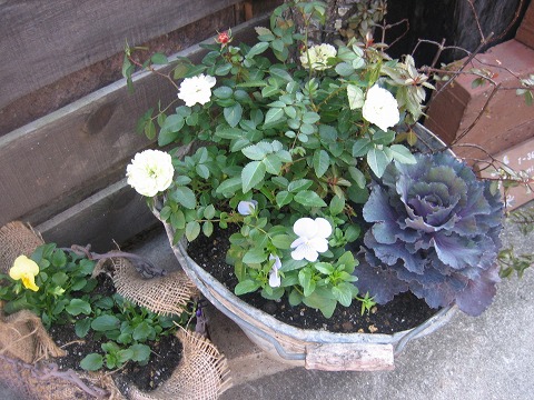 c0196701_1127454.jpg